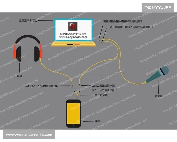 MorphVox Pro语音变换软件使用全攻略及常见问题应对技巧 MorphVox Pro语音变换软件使用全攻略及常见问题应对技巧
