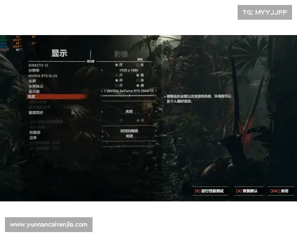 在《暗影狂奔归来》中如何打破束缚追求自由的路径探索与实战策略