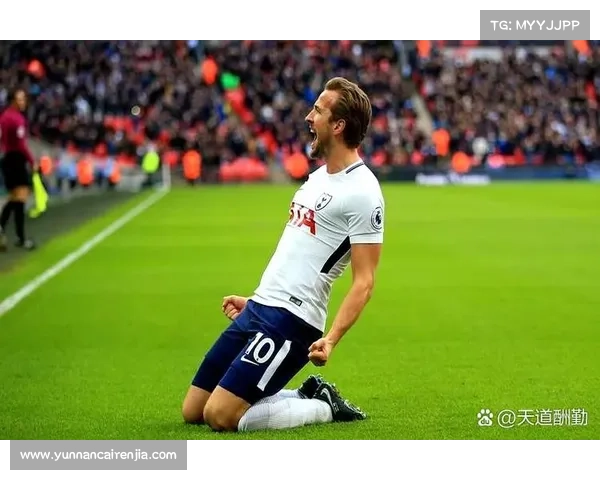 哈里凯恩成功背后的秘诀是什么他如何通过坚持与努力成就足球传奇